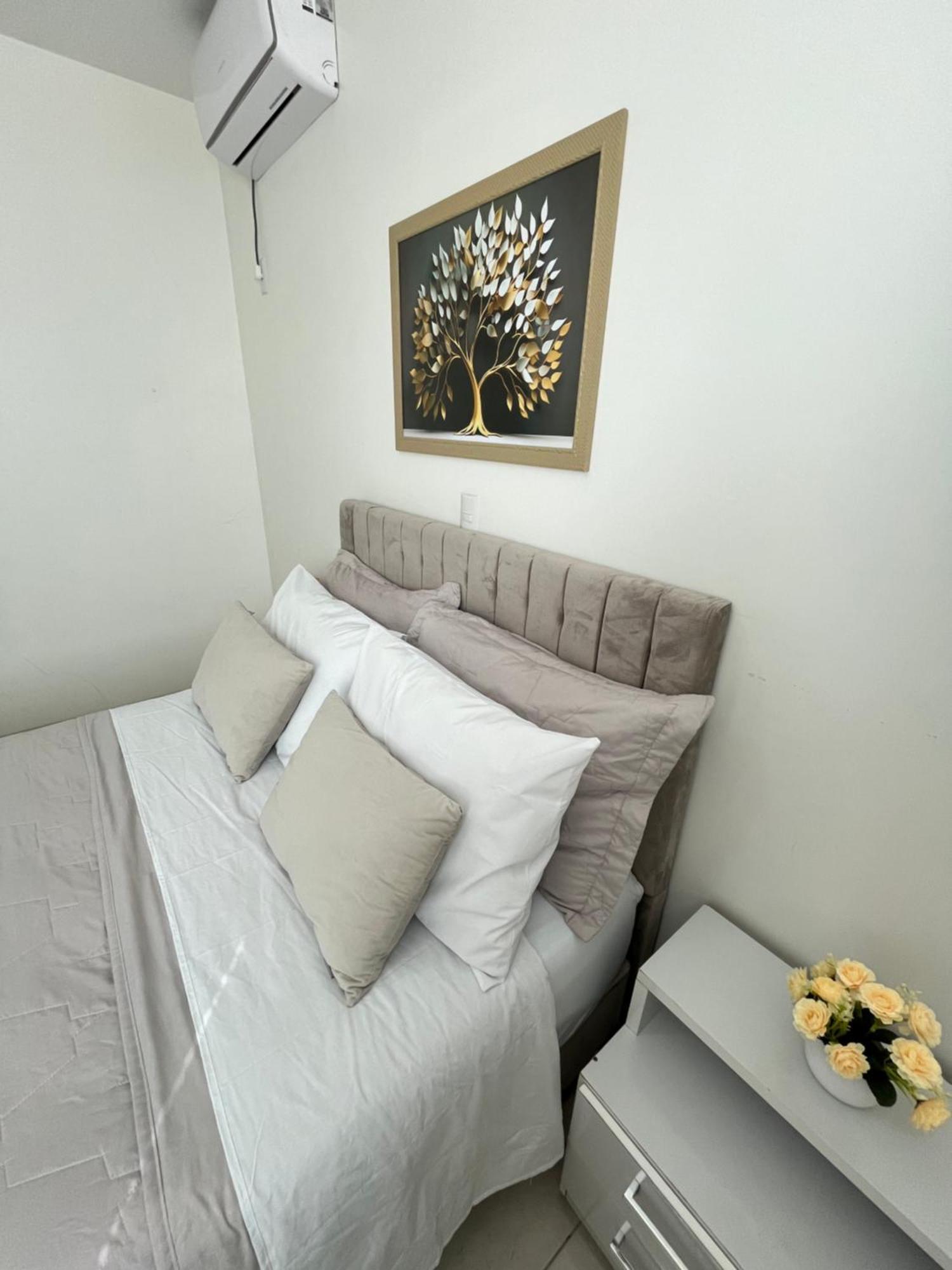 Ape Aconchego Apartment Brusque Exterior photo